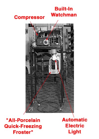 Westinghouse Skeleton Model
