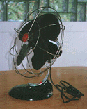 The Cee Fan