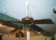 Ceiling Fan