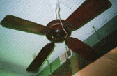 Ceiling Fan