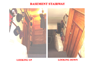 Steps to the Basement Storage Area