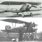  The Albatros D.III 