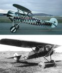 The Fokker D. VIII  
