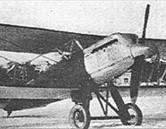 The Polikarpov DI-2  