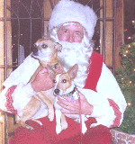 Casey and Brummer with Santa