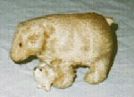 The Polar bear