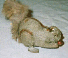 The Squirrel